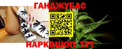 индика Гай