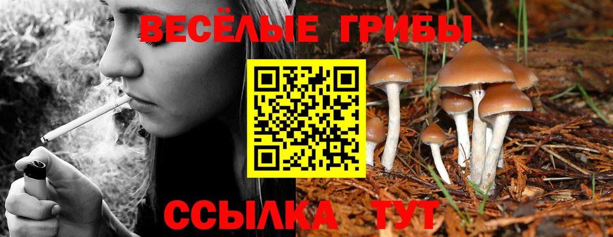 Галлюциногенные грибы Magic Shrooms  Вход с VPN  Зеленокумск 